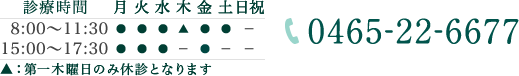 診療時間：8:00-11:30 15:00-17:30 休診：木曜午後、土曜午後、日祝　TEL:0465-22-6677
